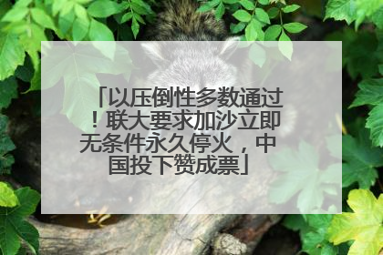 以压倒性多数通过！联大要求加沙立即无条件永久停火，中国投下赞成票