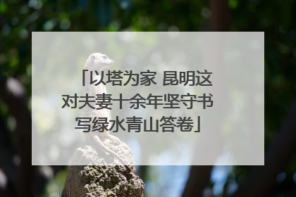 以塔为家 昆明这对夫妻十余年坚守书写绿水青山答卷