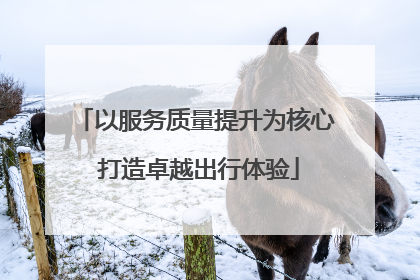 以服务质量提升为核心 打造卓越出行体验