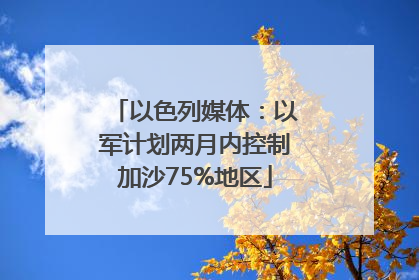 以色列媒体：以军计划两月内控制加沙75%地区