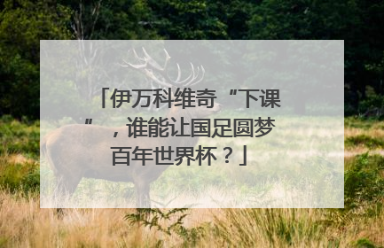 伊万科维奇“下课”，谁能让国足圆梦百年世界杯？