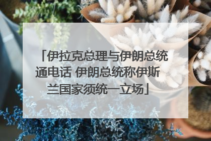伊拉克总理与伊朗总统通电话 伊朗总统称伊斯兰国家须统一立场