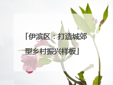 伊滨区：打造城郊型乡村振兴样板