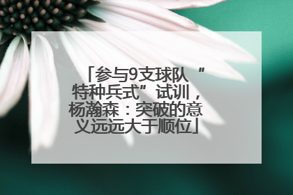 参与9支球队“特种兵式”试训，杨瀚森：突破的意义远远大于顺位