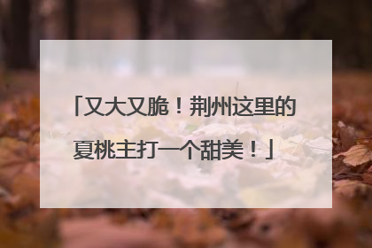 又大又脆！荆州这里的夏桃主打一个甜美！