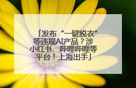 发布“一键脱衣”等违规AI产品？涉小红书、哔哩哔哩等平台！上海出手