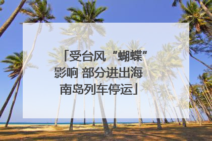 受台风“蝴蝶”影响 部分进出海南岛列车停运