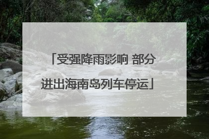 受强降雨影响 部分进出海南岛列车停运