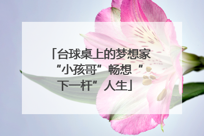 台球桌上的梦想家 “小孩哥”畅想“下一杆”人生