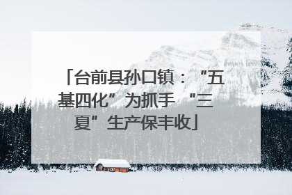 台前县孙口镇：“五基四化”为抓手 “三夏”生产保丰收