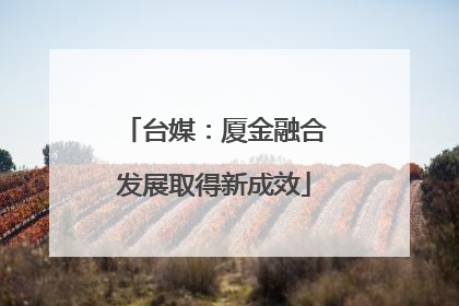 台媒：厦金融合发展取得新成效