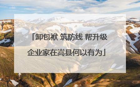卸包袱 筑防线 帮升级 企业家在嵩县何以有为