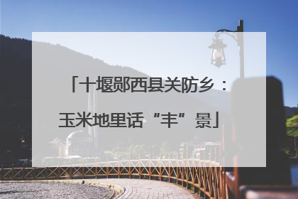 十堰郧西县关防乡：玉米地里话“丰”景