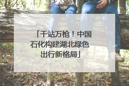 千站万枪！中国石化构建湖北绿色出行新格局