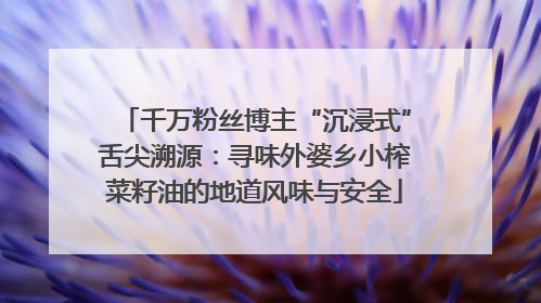 千万粉丝博主“沉浸式”舌尖溯源：寻味外婆乡小榨菜籽油的地道风味与安全