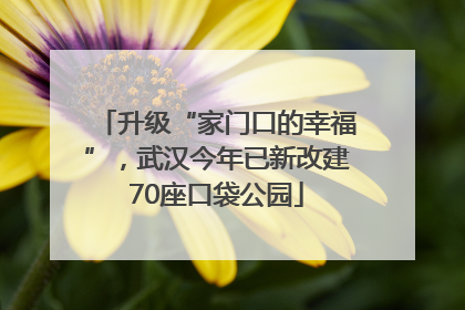 升级“家门口的幸福”，武汉今年已新改建70座口袋公园