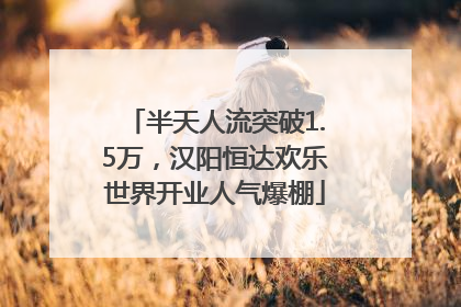 半天人流突破1.5万，汉阳恒达欢乐世界开业人气爆棚