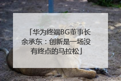 华为终端BG董事长余承东：创新是一场没有终点的马拉松