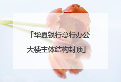 华夏银行总行办公大楼主体结构封顶