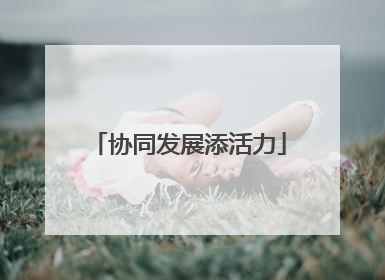 协同发展添活力