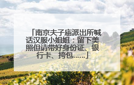 南京夫子庙派出所喊话汉服小姐姐：留下美照但请带好身份证、银行卡、挎包……