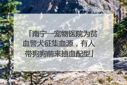 南宁一宠物医院为贫血警犬征集血源，有人带狗狗前来抽血配型