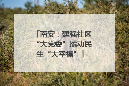 南安：建强社区“大党委”撬动民生“大幸福”