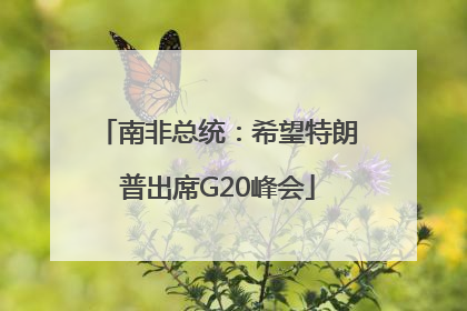 南非总统：希望特朗普出席G20峰会