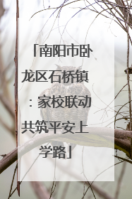 南阳市卧龙区石桥镇：家校联动共筑平安上学路
