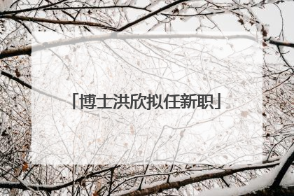 博士洪欣拟任新职