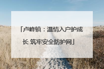 卢峰镇：温情入户护成长 筑牢安全防护网