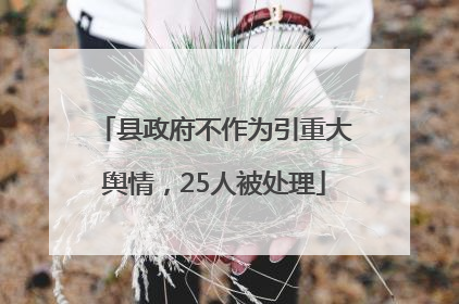 县政府不作为引重大舆情，25人被处理