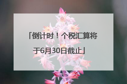 倒计时！个税汇算将于6月30日截止