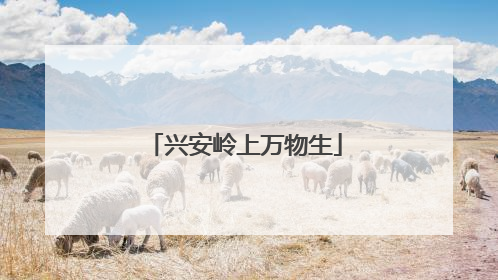 兴安岭上万物生