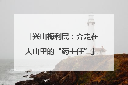 兴山梅利民：奔走在大山里的“药主任”