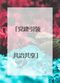 党建引领 共治共享