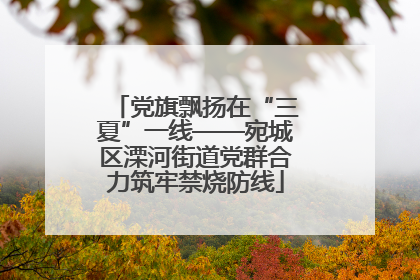 党旗飘扬在“三夏”一线——宛城区溧河街道党群合力筑牢禁烧防线