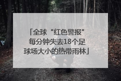 全球“红色警报”  每分钟失去18个足球场大小的热带雨林