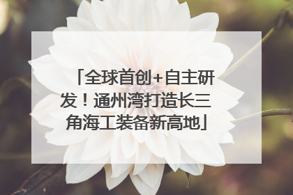 全球首创+自主研发！通州湾打造长三角海工装备新高地