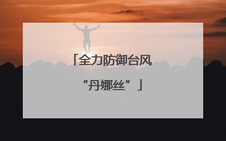 全力防御台风“丹娜丝”