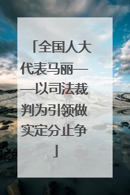 全国人大代表马丽——以司法裁判为引领做实定分止争
