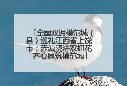 全国双拥模范城（县）巡礼江西省上饶市：赤诚浇灌双拥花 齐心同筑模范城
