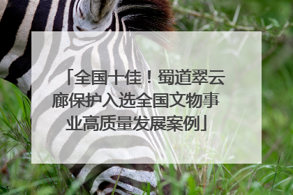 全国十佳！蜀道翠云廊保护入选全国文物事业高质量发展案例