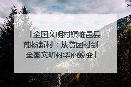 全国文明村镇临邑县前杨新村：从贫困村到全国文明村华丽蜕变