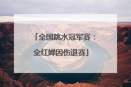 全国跳水冠军赛：全红婵因伤退赛