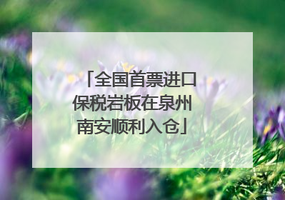 全国首票进口保税岩板在泉州南安顺利入仓