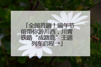 全国首趟！端午节前带你游川西，川青铁路“成路鹿”主题列车启程→