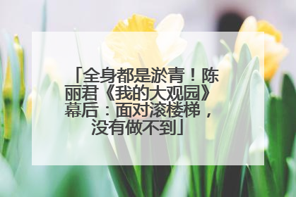 全身都是淤青！陈丽君《我的大观园》幕后：面对滚楼梯，没有做不到