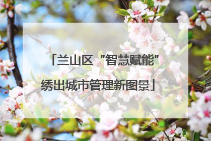 兰山区“智慧赋能”绣出城市管理新图景