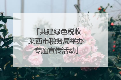共建绿色税收 莱西市税务局举办专题宣传活动